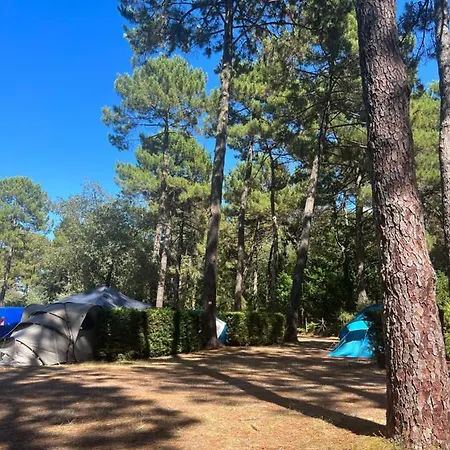 مكان تخييم Bassin Arcachon - Les Goelands