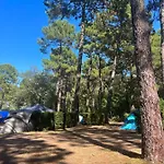 Kamp alanı Bassin Arcachon - Les Goelands