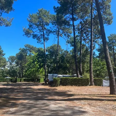 Bassin Arcachon - Les Goelands Ares